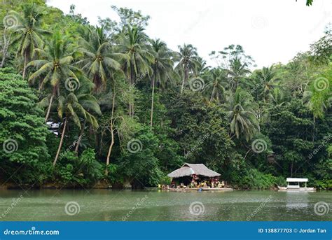 Tropical Trees Lining The Banks Of Loboc River In Bohol In Philippines