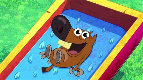 Zig And Sharko 💗 Baby Zig Season 2 New Episodes Cartoon For Kids