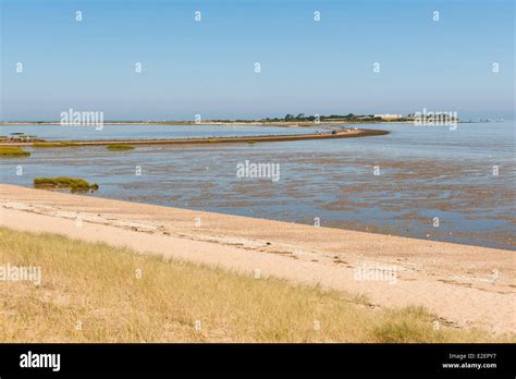 France Charente Maritime Ile Madame On The Charente Estuary Passe Aux Boeufs At Low Tide