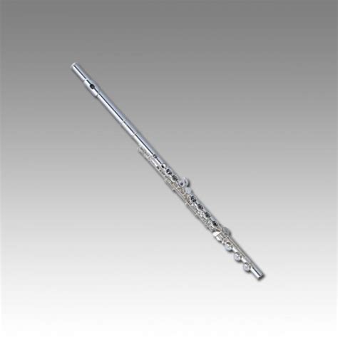Flutes Are You Looking To Buy A Flute Morris Brothers Musical Store