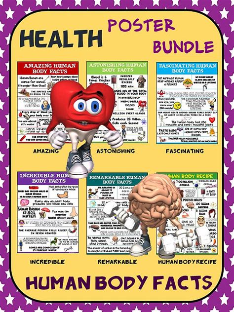 Health And Science Poster Bundle Human Body Facts 6 Contemporary
