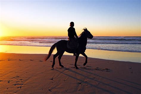 Horse Riding On The Beach At Sunset Photograph By Nisangha Ji Fine