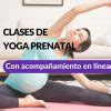 Curso Psicoprofil Ctico En L Nea Maternar Co