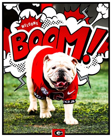 Meet Boom Ugas New Mascot Gon Forum