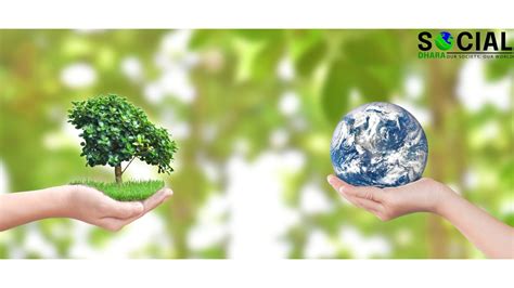 Importance Of Environment To Human Life Socialdhara
