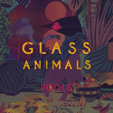 10 Glass Animals Album Cover Images