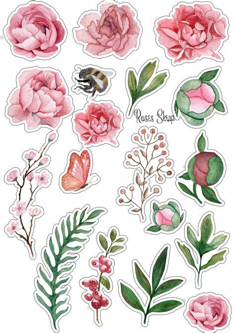 21 Best Rose Clipart Images Watercolor Flowers Printable Stickers