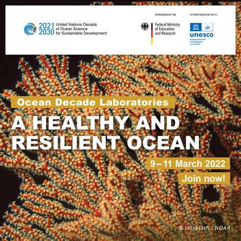 Registrations Now Open For The Un Ocean Decade Laboratory ‘healthy