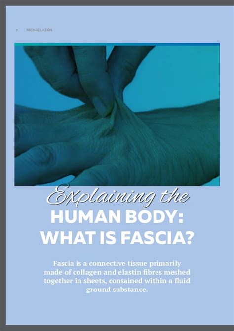 Explaining The Human Body What Is Fascia