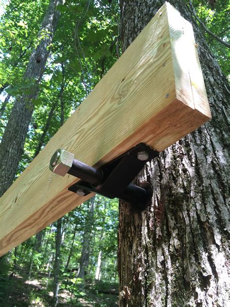 An easy & exciting way to explore your family history. Tree House: Tree House: Start 5/31/15