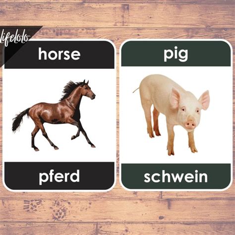 Farm Animals German Flash Cards Bilingual Homeschool Printable
