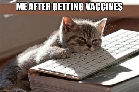Fr Why Do Vaccines Make Me Sleepy Imgflip