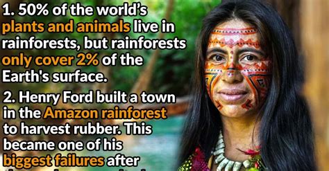 Astonishing Facts About Rainforests Factinate