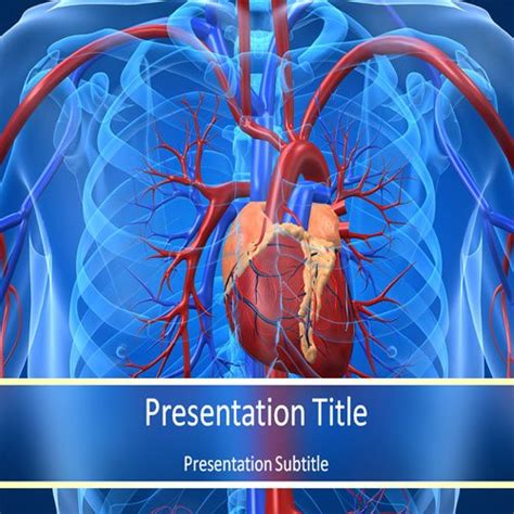 Cardiovascular System Powerpoint Template Powerpoint
