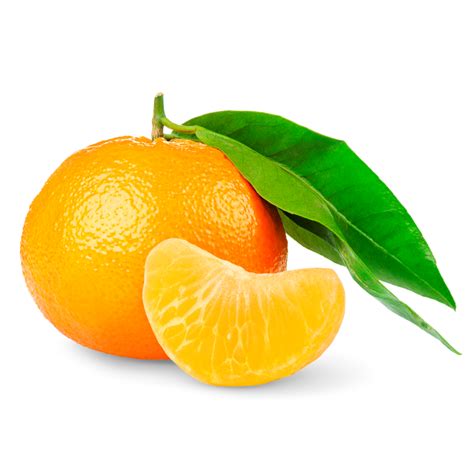 Honey Murcott Mandarin Orange Large 5pcs — Momobud