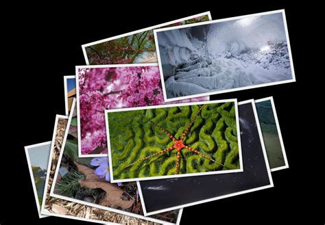 Photo Collage Screensaver Windows 10 Coolhload