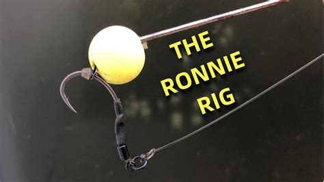 Best Carp Rig For Pop Up Boilies The Ronnie Rig Youtube