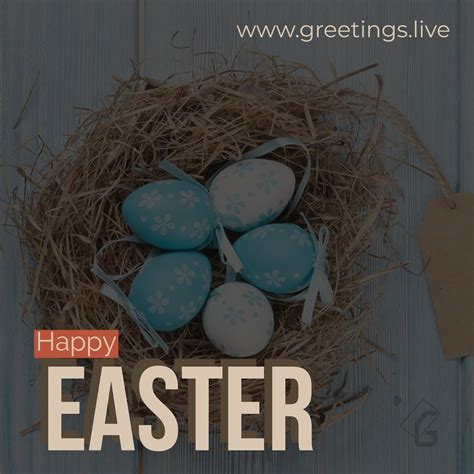 Happy easter wishes different style greeting | Happy easter wishes ...