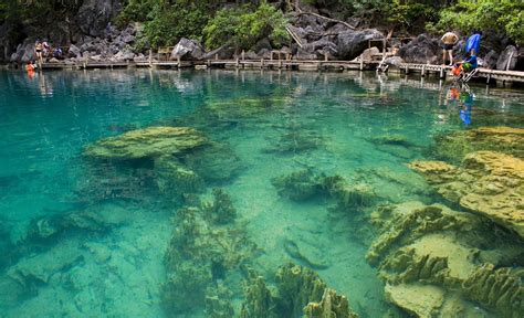 Lake Kayangan Palawan Philippines Photography By Eena Reyes