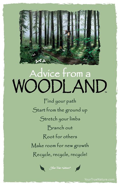 Advice From A Woodland Postcard Your True Nature Advice Quotes