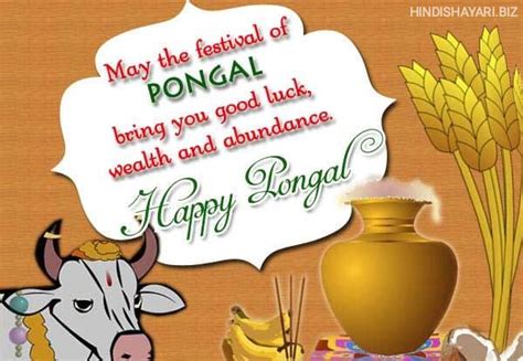 Happy Pongal Wishes In English Happy Pongal Quotes In English Happy