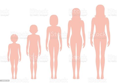 年齢とともに変化する女性のプロポーション女の子の体の成長段階コンセプトを老化します別の女の子の年齢は赤ちゃんから大人の図