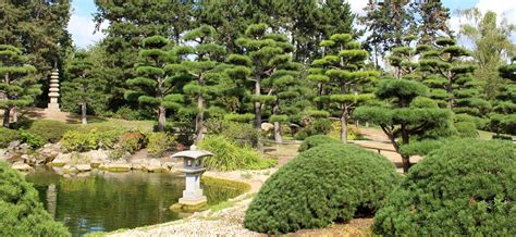 Aufgrund von gartenumgestaltung trennen wir uns von dieser wunderschönen laterne im japanischen. Japanischer Garten in Düsseldorf - ein Stück Fernost am Rhein