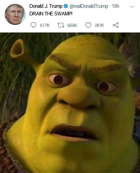 Shrek Memes Have Layers Like An Onion Shrek Memes