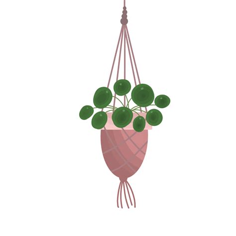 Free Hanging Plant Growing In Pots 17786277 Png With Transparent Background