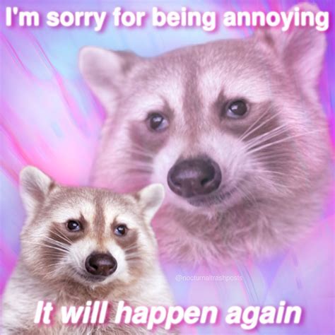 i m sorry for being annoying raccoon sorry for x it will happen again know your meme
