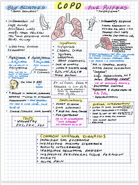 Pin By Virginia Martinez On Moda Feminina Nursing School Notes