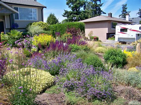 43 Front Yard Landscaping Drought Tolerant Xeriscaping Silahsil