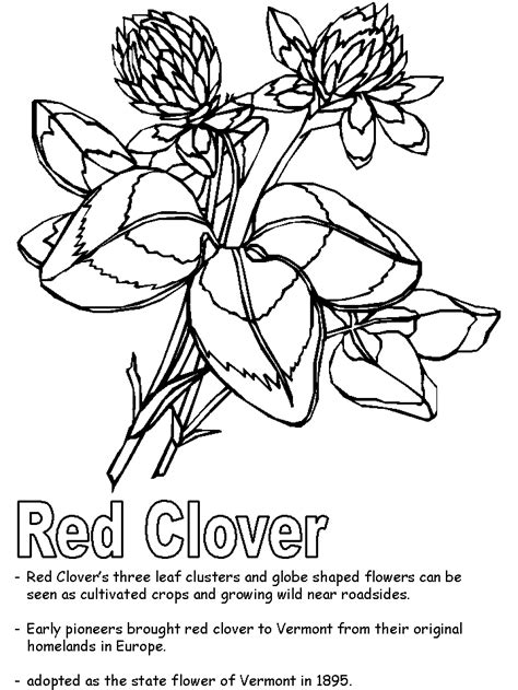 Fredrick Daily How Mississippi State Flower Coloring Page Made Me A