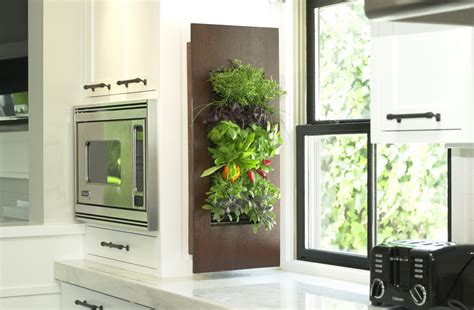 Kitchen Herb Gardens That Will Make Cooking Wonderful Top Dreamer