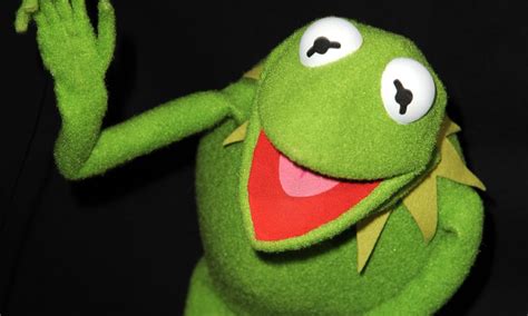 Kermit The Frog Quotes Joke Quotesgram