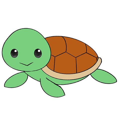 How To Draw Cute Turtle Easy Drawing For Kids 11 Imag