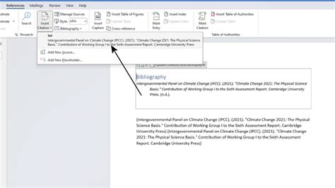 How To Add Citations In Word