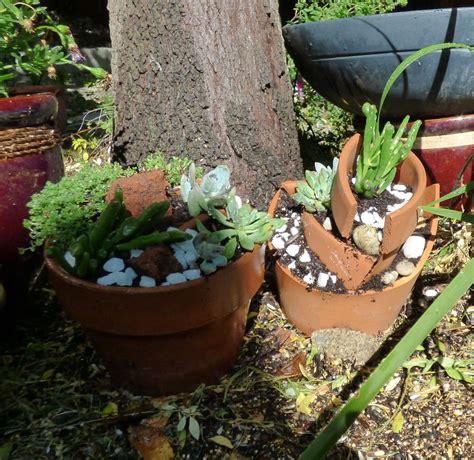 Succulents In Broken Terra Cotta Pots Dressed Up With Decorative Rock