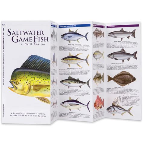 Saltwater Game Fish Of North America Folding Guide Kennesaw Cutlery