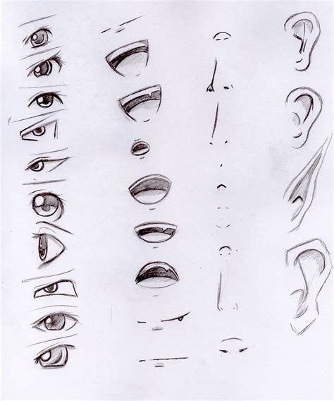 How To Draw A Nose Easy Anime Mundopiagarcia