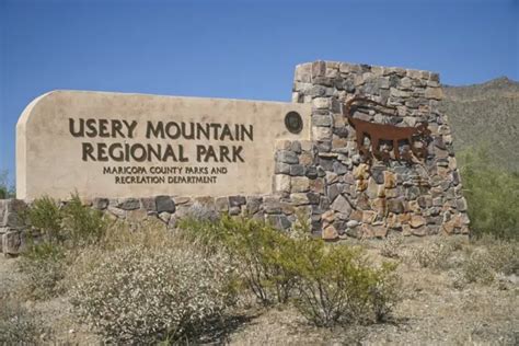 Locals Guide To Usery Mountain Regional Park