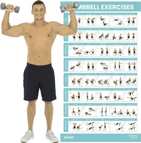 Dumbbells Workout For Arms