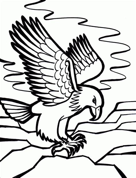 Birds Coloring Pages To Knowing The Kind Of Birds Name Coloring Pages