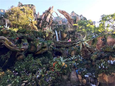 Review Initial Thoughts From Inside Pandora The World Of Avatar At