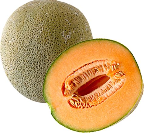 Pacific Coast Fruit Products Ltd. | Melon, Honeydew/Cantaloupe - Pacific Coast Fruit Products Ltd.