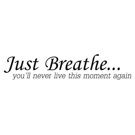 Just Breathe You Ll Never Live This Moment Again Vinyl Wall Quotes Stickers Sayings Home Art
