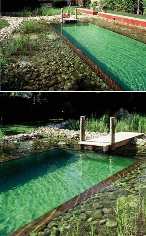 Important Steps To Your Diy Swimming Pool That Will Look Professionally
