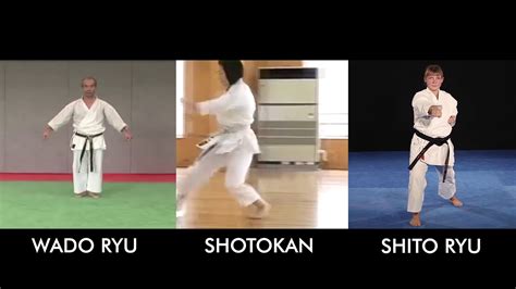 Do You Know Difference Between Karate Styles Youtube