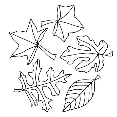 Fall Leaves Picture - Fall Leaves Coloring Page