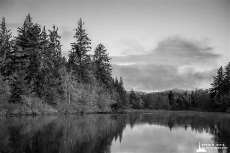 Grays River Washington 2021 Steve Gbisig Photography